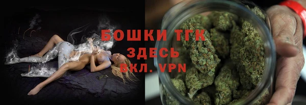 ГАЛЛЮЦИНОГЕННЫЕ ГРИБЫ Бородино