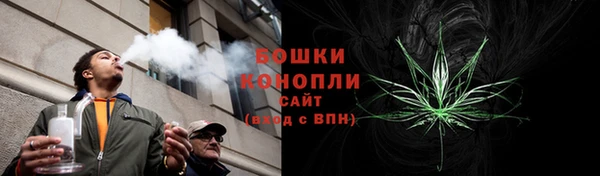 дурь Верея