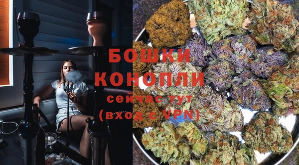 PSILOCYBIN Бугульма