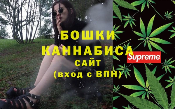мдпв Верхний Тагил