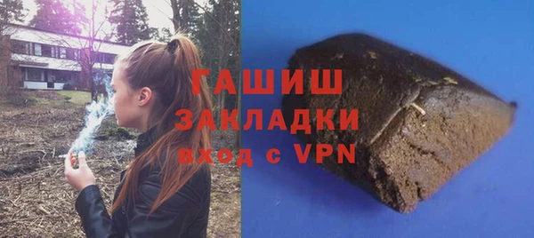 прущие грибы Щёлкино